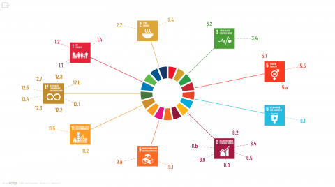 SDG tool infographic, which shows all the goals and all the targets that relate to a project once the questionnaire has been completed. 