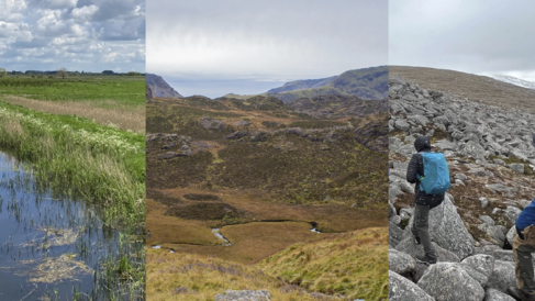 CLR Landscapes