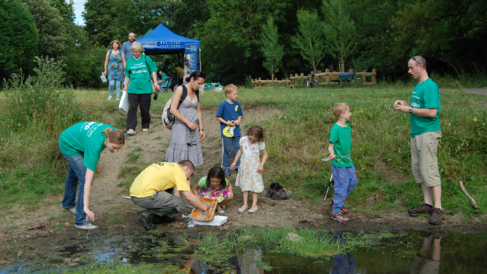Case Studies- Pond Dipping