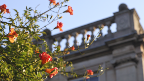 Governance- Kings College