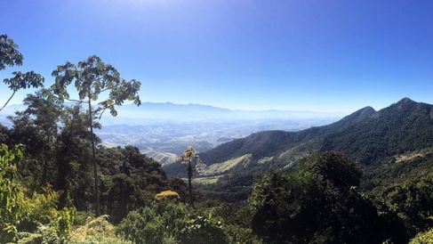 Atlantic forest, Brazil