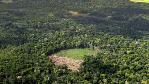 Area of deforestation in the Amazon