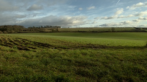 Landscape in Suffolk
