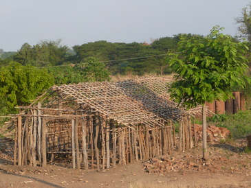 People living near the Eastern Arc Mountains use poles collected from the forests to build their homes. [Credit: Marije Schaafsma]