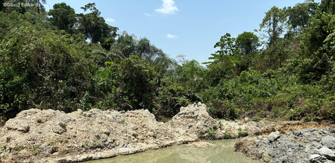 Illegal gold mine in southern Ghana, a global hotspot of extraction-induced threats to biodiversity