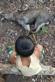 Contemplating a meal freshly delivered from the forest by his uncle. The meat was too much for the family and shared with neighbouring households in the gift economy. Brazil. Photo credit: Rachel Carmenta