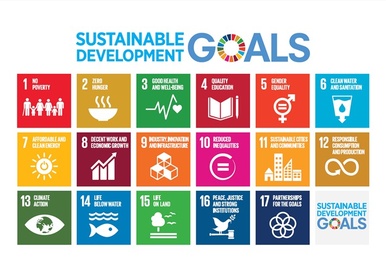 The SDGs. Credit: UN