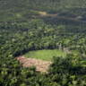 Area of deforestation in the Amazon