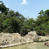 Illegal gold mine in southern Ghana, a global hotspot of extraction-induced threats to biodiversity