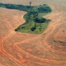 Companies’ ‘deforestation-free’ supply chain pledges have barely impacted forest clearance in the Amazon