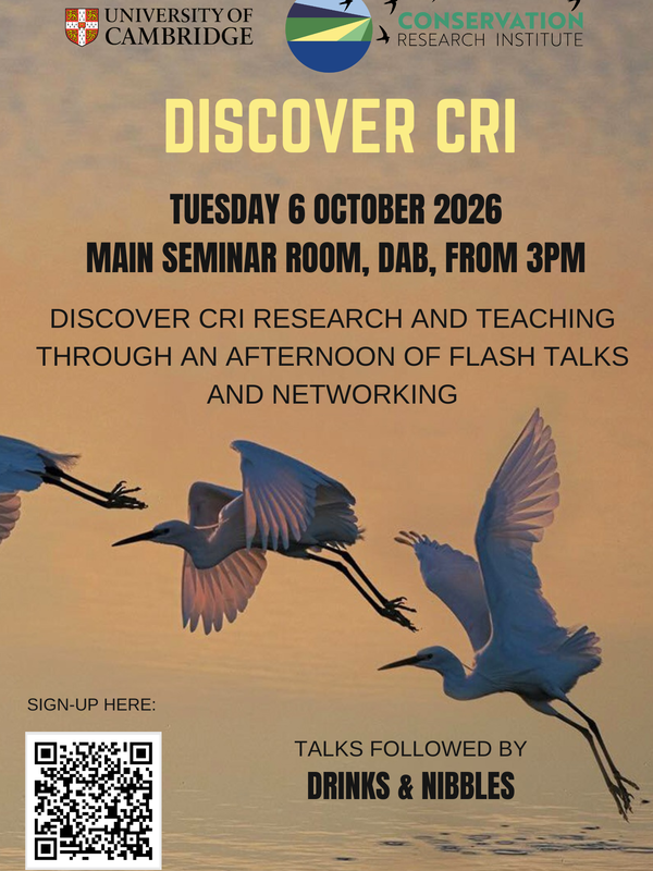 Discover CRI poster
