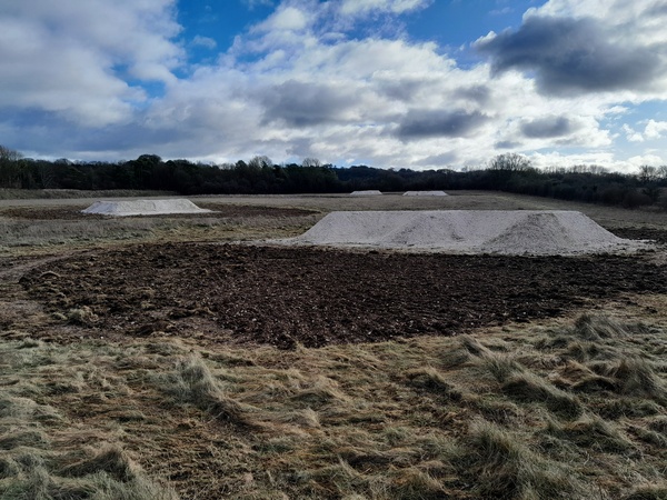A newly created butterfly bank at Winterbourne Downs. Photo Patrick Cashman 