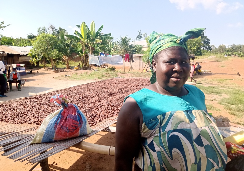 Work on a cocoa farm in West Africa