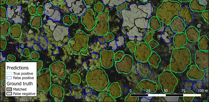 Graphic from the Detectree paper