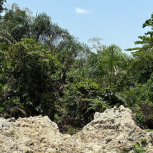 Illegal gold mine in southern Ghana, a global hotspot of extraction-induced threats to biodiversity