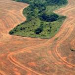 Companies’ ‘deforestation-free’ supply chain pledges have barely impacted forest clearance in the Amazon