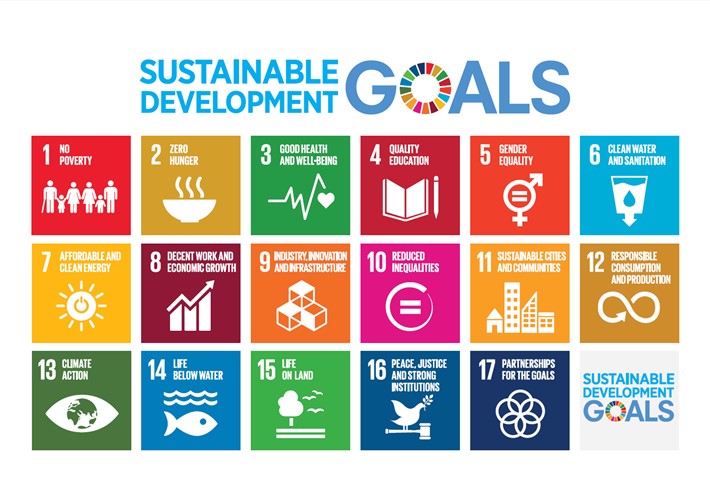 The SDGs. Credit: UN