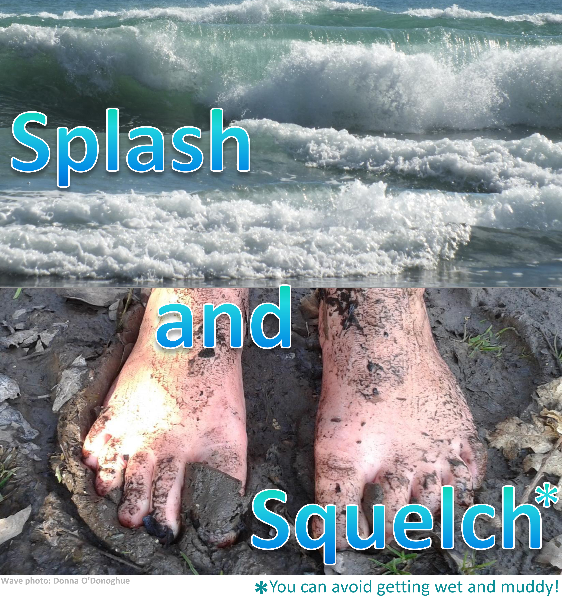 splash and squelch.png