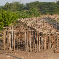 People living near the Eastern Arc Mountains use poles collected from the forests to build their homes. [Credit: Marije Schaafsma]