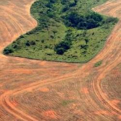 Companies’ ‘deforestation-free’ supply chain pledges have barely impacted forest clearance in the Amazon