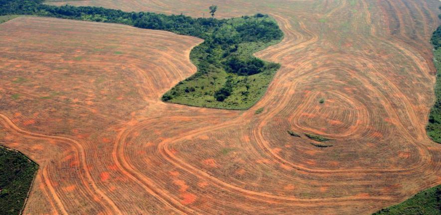 Companies’ ‘deforestation-free’ supply chain pledges have barely impacted forest clearance in the Amazon